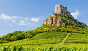 Seminar Burgundy in France