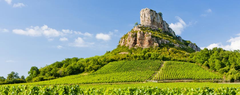 Seminar Burgundy in France